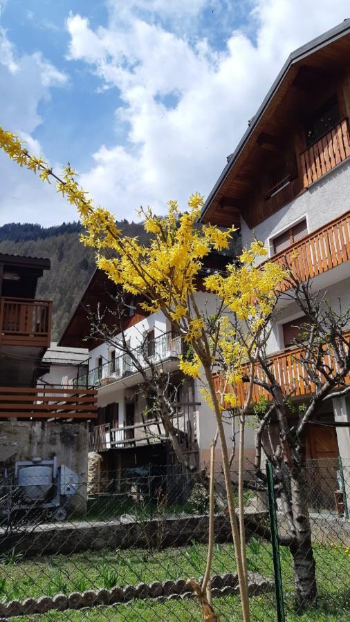Casa Mascia Villa Cencenighe Luaran gambar