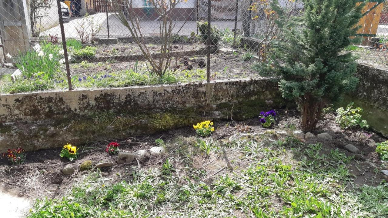 Casa Mascia Villa Cencenighe Luaran gambar